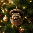 thumbnail image 1 of Forest Animal Acorn Ornaments 2026, Sleeping Squirrel Snuggled in Acorn Shell Ornament 2026 – 3D Resin Cottagecore Tree Decor, Small Christmas Gift, 1 of 8