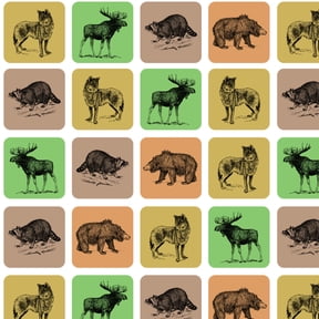 Forest Animals Bear Moose Wolf Raccoon Premium Roll Gift Wrap Wrapping Paper