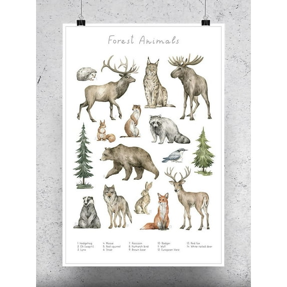 Forest Animals Poster - Image by Shutterstock,