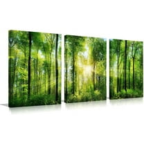 Forest Art Canvas Wall Decor: 3 Panel Nature Wall Art Landscape Paintings Trees Green Pictures Sunrise Scenery Wall Decor for Living Room Bedroom Office Bathroom(only canvas)