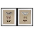thumbnail image 1 of Stupell Industries Forest Beauty Insects 2 Piece Black Framed Print Under Glass Set, design by Danhui Nai, 21 x 17, 1 of 10