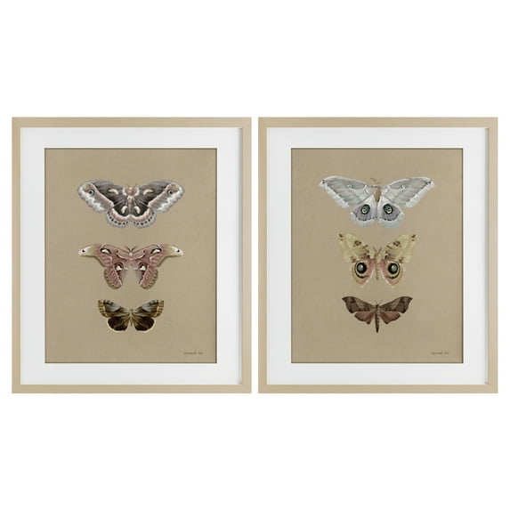 Stupell Industries Forest Beauty Insects 2 Piece Birch Framed Print Under Glass Set, design by Danhui Nai, 21 x 17