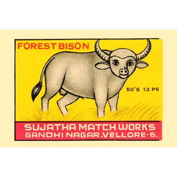 Forest Bison-Fine Art Canvas Print (20" x 30")