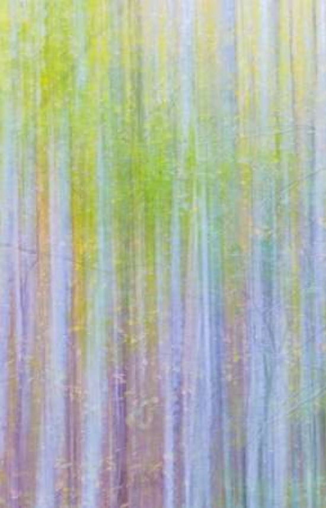Forest Blur II Canvas Art - Kathy Mahan (24 x 36)