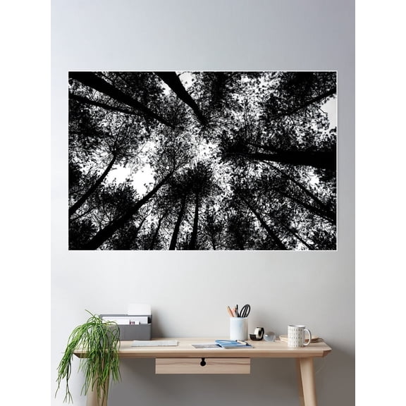 Forest Branches In Black And White Poster Wall Art, Modern Wall Decor For Living Room Bedroom, 16x24 UNFRAMED