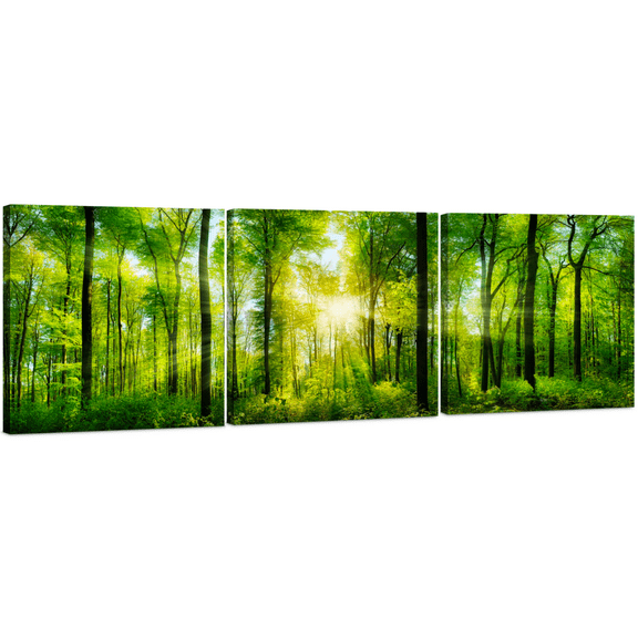 Forest Canvas Wall Art Decor - 3 Panel Tree Filled Print Photograph, Large Decorative Painting Wall Art for Living Room, Kitchen, Bedroom, Office, Modern Home Decor, Gift for Men & Women 24" x 72"