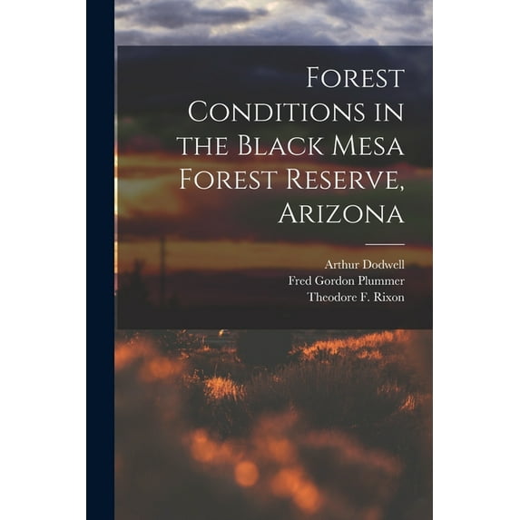 Forest Conditions in the Black Mesa Forest Reserve, Arizona, (Paperback)