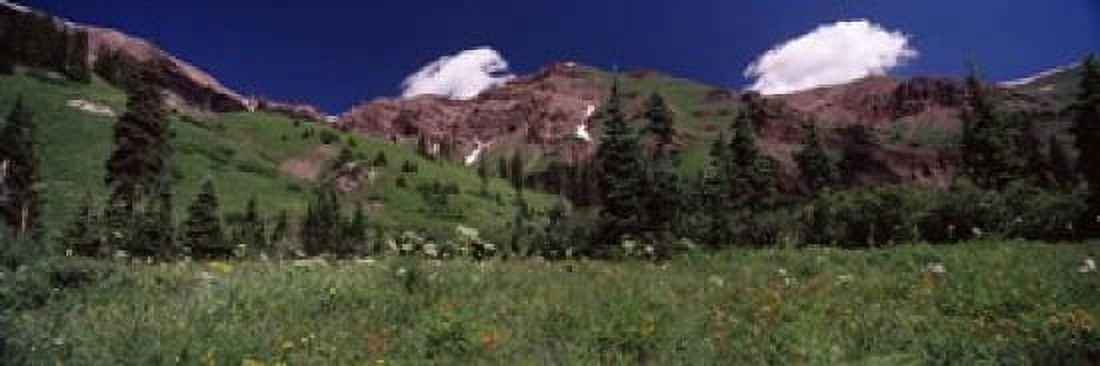Forest Crested Butte Gunnison County Colorado USA Canvas Art - Panoramic Images (18 x 6)