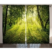 Forest Curtains 2 Panels Set, Freshening Morning Light in Nature in Summer Time Sunset Environment Wilderness Mist Theme, Living Room Bedroom Decor, 108W X 90L Inches, Green, by Ambesonne