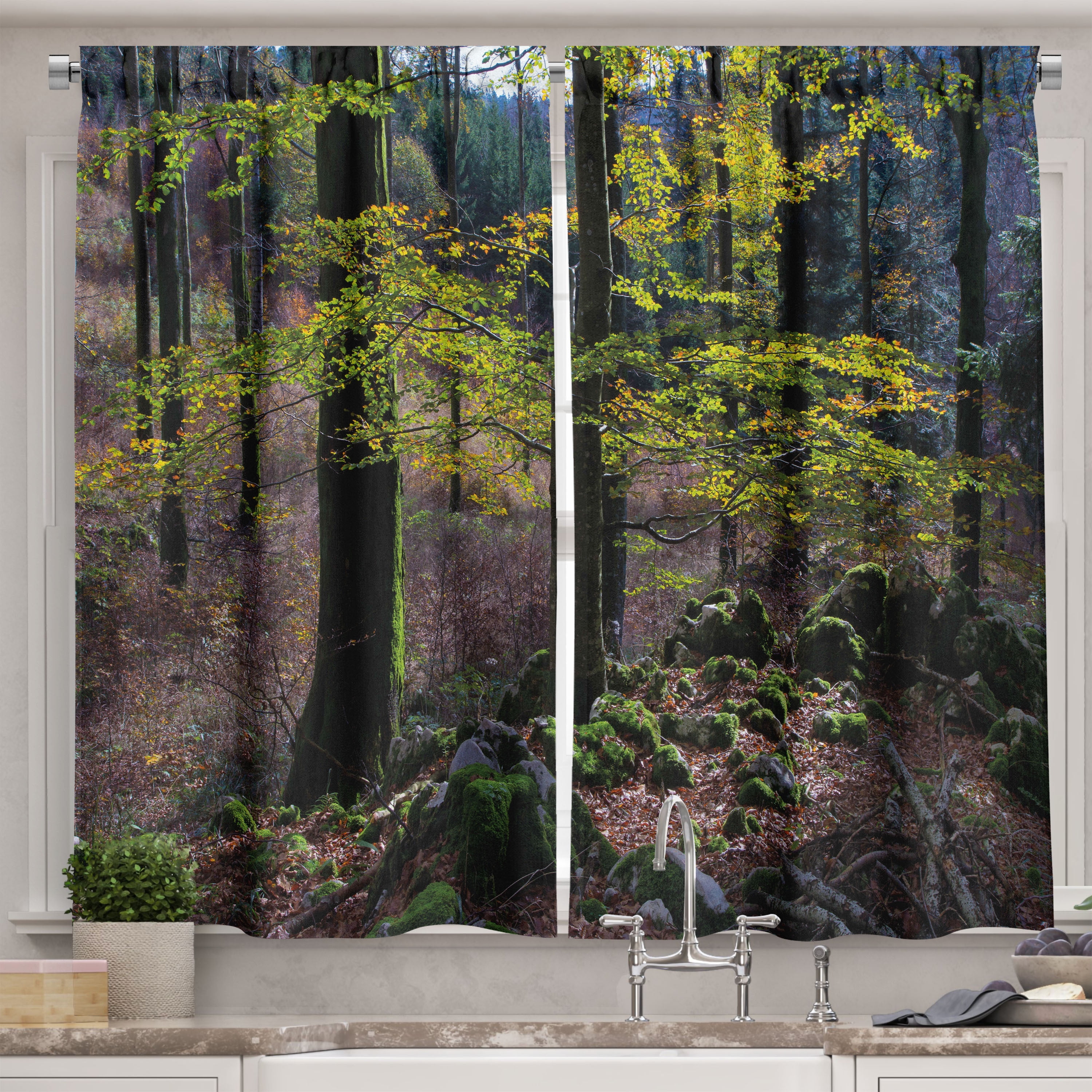 Forest Curtains 2 Panels Set, Natural Scenery Trees Autumn Season in Woods Wilderness Rural