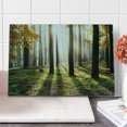 thumbnail image 1 of Forest Cutting Board, Landscape Sunrise in the Forest Leaves in Seasonal Woodland Scenery Photo, Decorative Tempered Glass Cutting and Serving Board, Large Size, Yellow Green Brown, by Ambesonne, 1 of 1