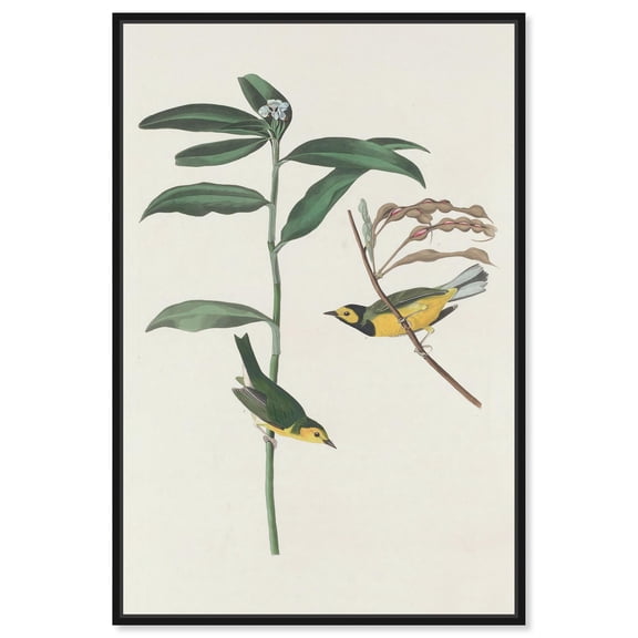 Forest Dialogue Canvas Print Botanical Art by Art Remedy, Black Frame, 24 x 36