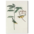 thumbnail image 1 of Forest Dialogue Canvas Print Botanical Art by Art Remedy, Gallery Wrapped, 16 x 24, 1 of 6