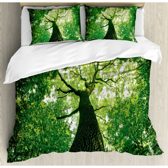 Forest Duvet Cover Set, Tall Old Tree View Sun Rays Top Branches Leaves Nature Picture, Decorative 3 Piece Bedding Set with 2 Pillow Shams, King Size, Green Pale Green Brown, by Ambesonne