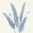 thumbnail image 1 of Forest Ferns II v2 Blue Poster Print by Albena Hristova, 1 of 1