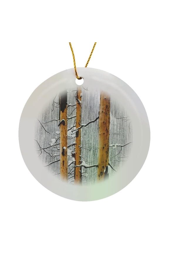, Forest Fire, Winter, Kootenay Np, British Columbia-cn02 Pcl0106 - Paul Colangelo, Circle Porcelain Ornament