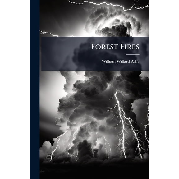 Forest Fires : Their Destructive Work, Causes and Prevention (Paperback)