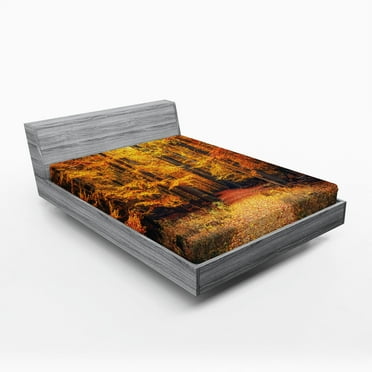 Forest Fitted Sheet, Fall Photo in National Park Vivid Leaf Plant Eco Earth Theme, Decorative Soft Bedding All-round Elastic Pocket, California King, Orange Brown, by Ambesonne
