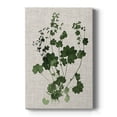 thumbnail image 1 of Forest Foliage on Linen III Premium Gallery Wrapped Canvas - Ready to Hang, 1 of 9
