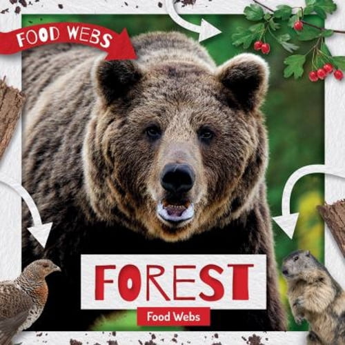 Pre-Owned Forest Food Webs (Library Binding) 9781534535183