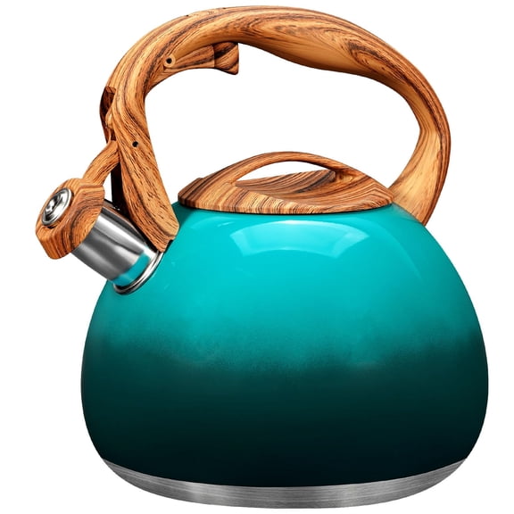Forest-Gradient Green Stainless Steel Stovetop Tea Kettle for Coffee, Milk and Home Kitchen Use