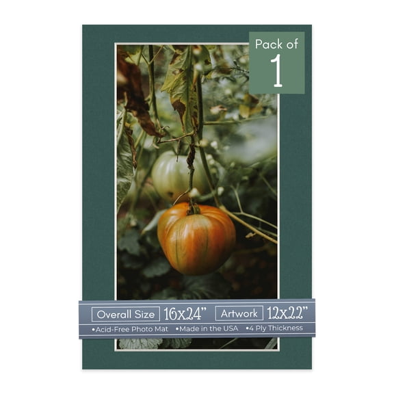 Forest Green Picture Frame Mat for 16x24 Frames - Fits 12x22 Photos - 1 Mat