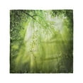 thumbnail image 1 of Forest Head Scarf, Sunbeams in Woodland, Head Wrap, 3 Sizes, by Ambesonne, 1 of 2