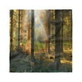 thumbnail image 1 of Forest Head Scarf, Sunset Dark Pine Trees, Head Wrap, 3 Sizes, by Ambesonne, 1 of 2