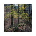 thumbnail image 1 of Forest Head Scarf, Trees Autumn Wilderness, Head Wrap, 3 Sizes, by Ambesonne, 1 of 2
