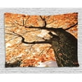 thumbnail image 1 of Forest Home Decor Tapestry, Body of Old Tree Seedling Botany Woodsy Roots Falling Maple Leaf Design, Wall Hanging for Bedroom Living Room Dorm Decor, 60W X 40L Inches, Orange Brown, by Ambesonne, 1 of 2