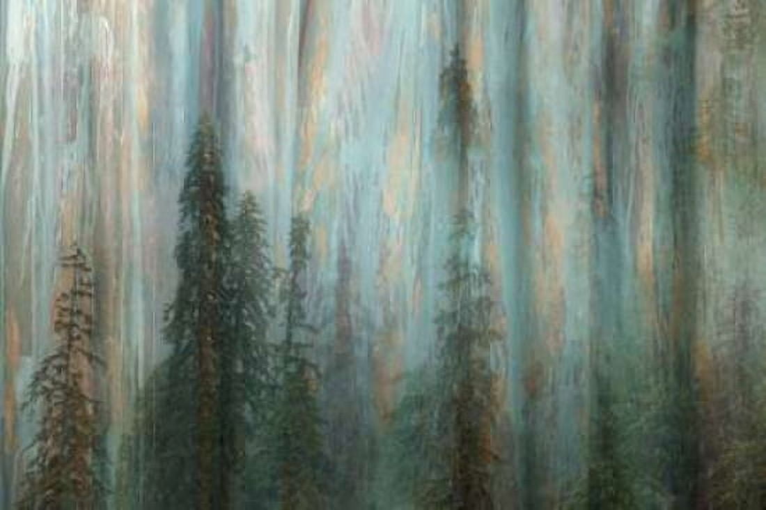 Forest II Canvas Art - Kathy Mahan (24 x 36)