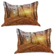 thumbnail image 1 of Forest Knitted Quilt Pillowcover Set of 2, Foggy Sunset Vibrant Sunbeams Rural Country Woodland in Fall Scenery Image, Standard Queen Pillow Sham Bedroom, 30" x 20", Orange Brown Yellow, by Ambesonne, 1 of 1