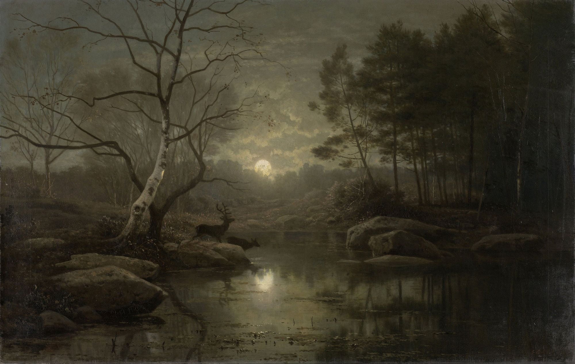 Forest Landscape In The Moonlight Canvas Art - (36 x 24)