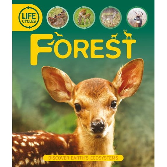 Pre-Owned Forest Life Cycles (Hardcover) 0753467410 9780753467411