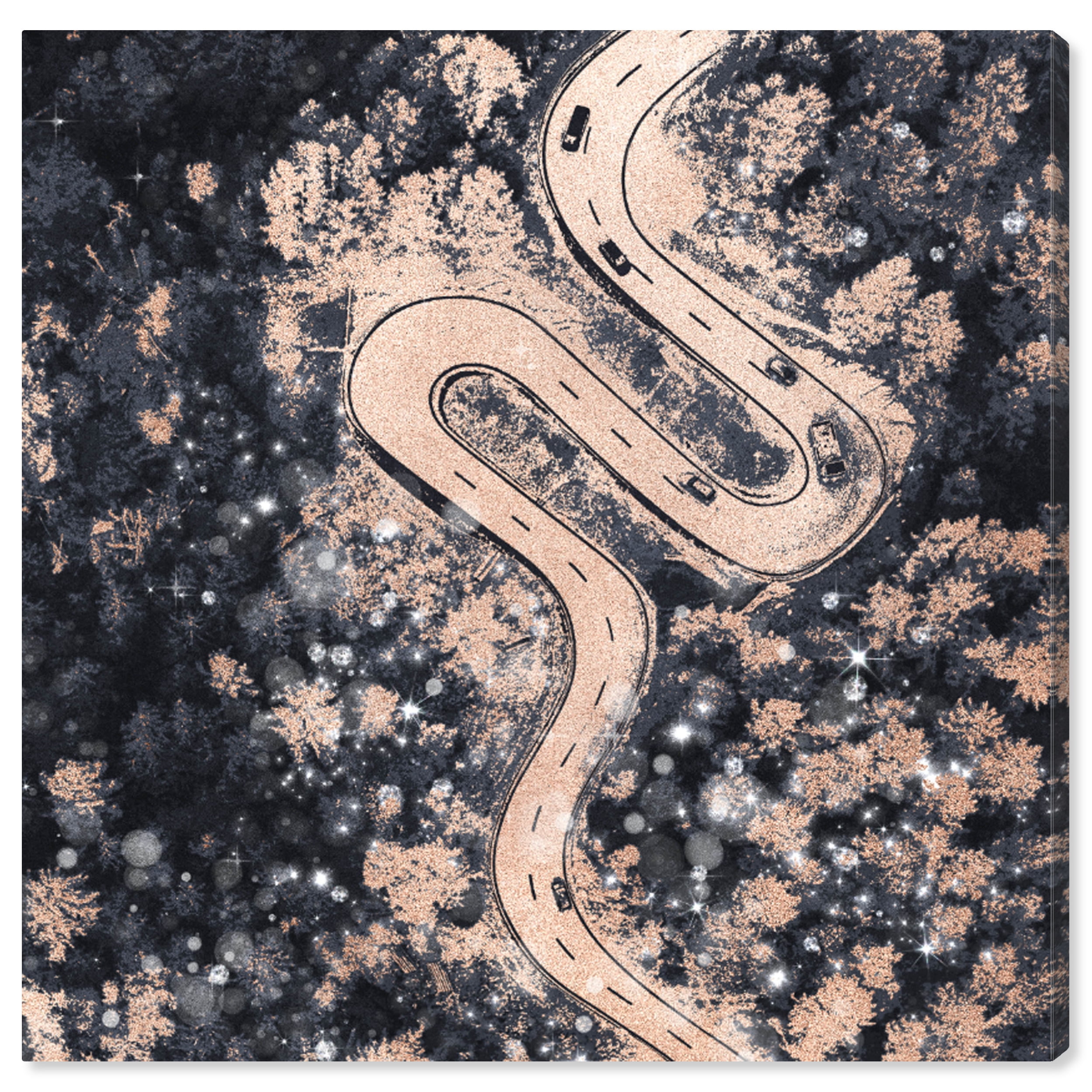 Forest Lights Nature and Landscape Wall Art Print Black 20x20