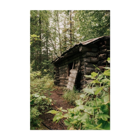 Forest Log Cabin - Alaska Photography Rustic Forest Woodland Nature Wilderness Rural Unframed Wall Art Print 32 x 48 inches