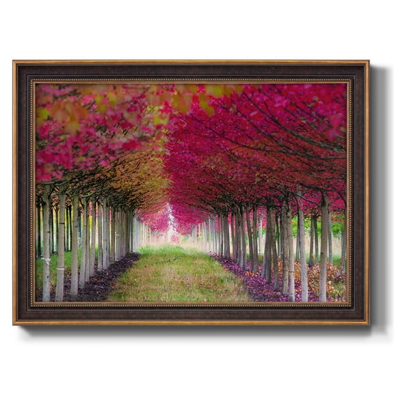 Forest Magic Premium Framed Canvas- Ready to Hang