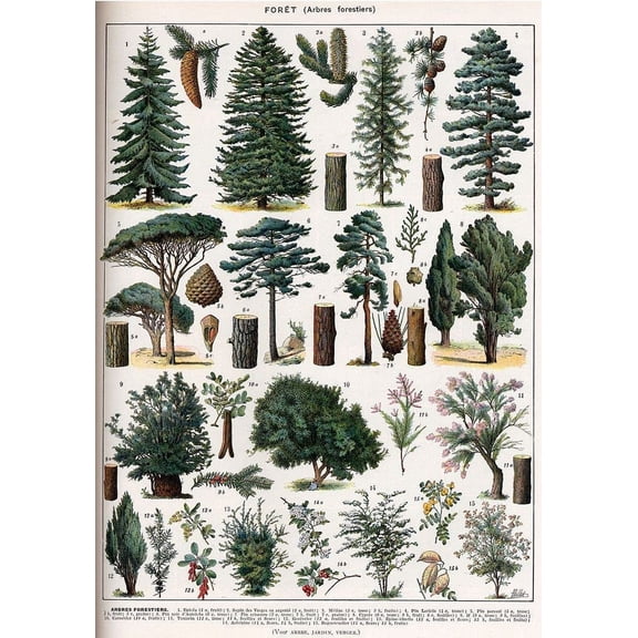 Forest Metal Tin Sign - Pine Tree Nature Wall Art - Indoor/Outdoor Panel - Retro Vintage Mural - 8x12 Inch