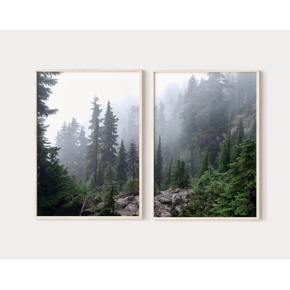 Forest Misty Pine Photography Dark Forest Nature Modern Decprints ...