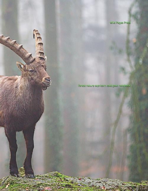 Forest Nature Capricorn Cold Goat Notebook (Paperback)