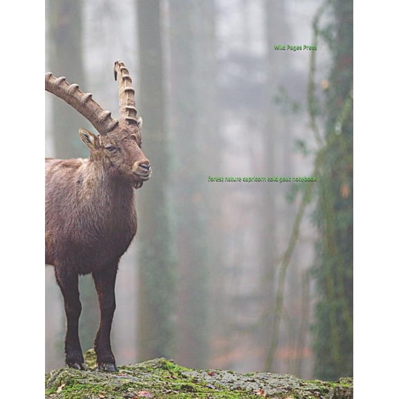 Forest Nature Capricorn Cold Goat Notebook (Paperback)