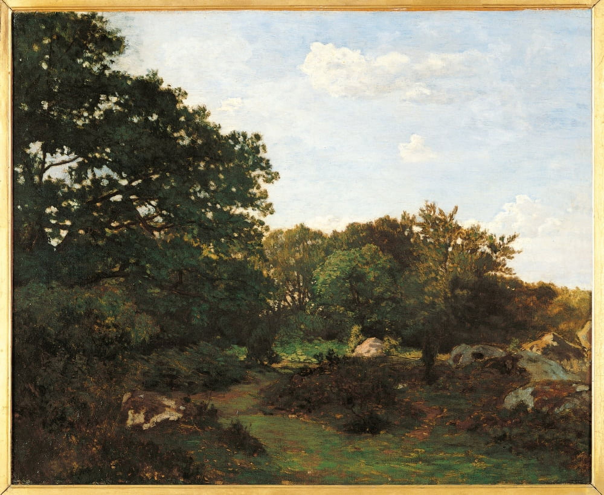 Forest Of Fontainebleau Canvas Art - (24 x 18)