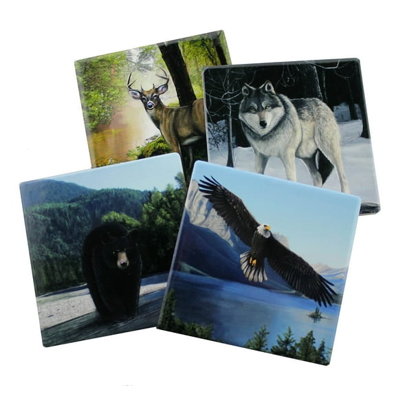 Forest Pack- Protect Your Furniture with These Decorative Coasters