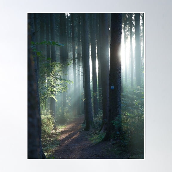 Forest Path With Sun Rays Poster Wall Art, Modern Wall Decor, 8x12 UNFRAMED