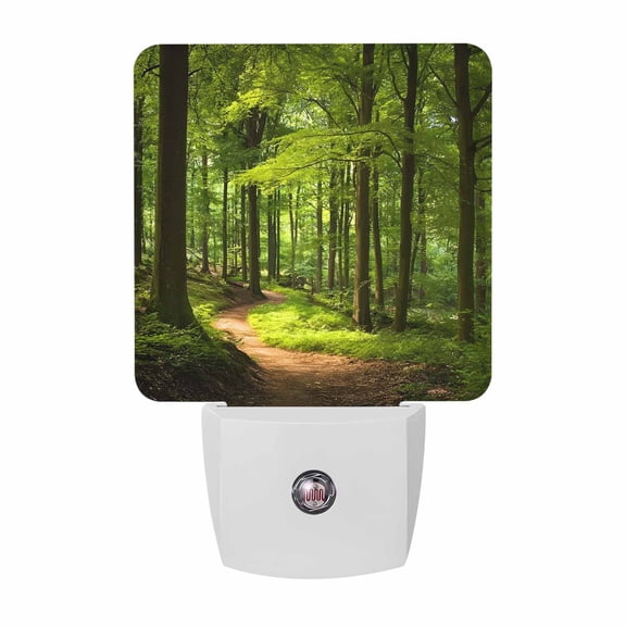 Forest Pathway Night Lights, Rustic Country Natural Green Tree Gold Sunbeam Smart Auto Dusk to Dawn Sensor Nightlights Plug-in Nightlight for Bedroom Bathroom Living Room Kitchen Hallway