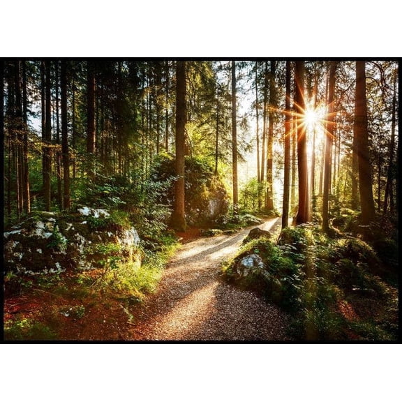 Forest Pathway Poster Wall Art, Modern Wall Decor For Living Room Bedroom, 16x24 UNFRAMED