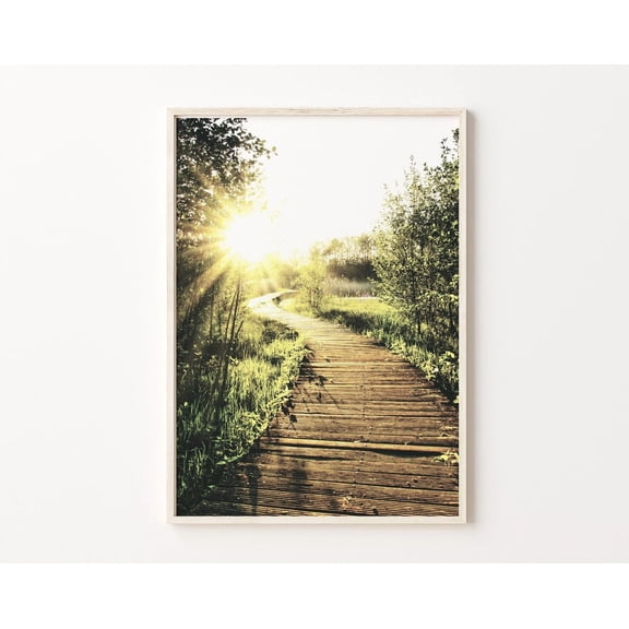 Forest Pathway Print, Sunset Nature Photography, Green Landscape Poster, Wall Art, Modern Wall Decor, 8x12 UNFRAMED