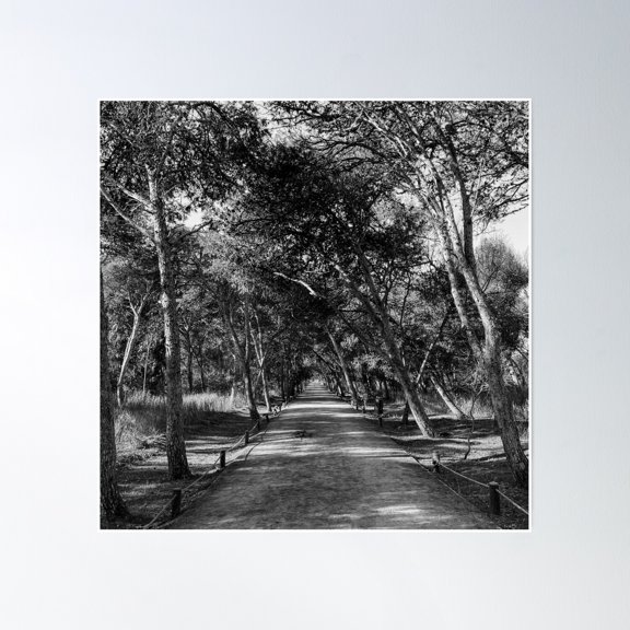 Forest Pathway With Autumn Leaves Falling Poster Wall Art, Modern Wall Decor, 30x30 UNFRAMED