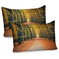 thumbnail image 1 of Forest Pillow Sham Set of 2, Romantic Autumn Alley in the Woods Foliage Scenics Park Forest Image, Quality Microfiber Bedding Item for All Seasons, 26" x 20", Slate Blue Orange Yellow, by Ambesonne, 1 of 1