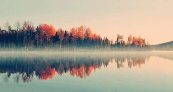 Forest Reflections Canvas Art - Andreas Stridsberg (12 x 18)